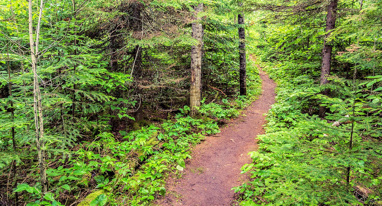 Honeymoon Bluff Trail | Superior National Forest | North Shore Outdoors